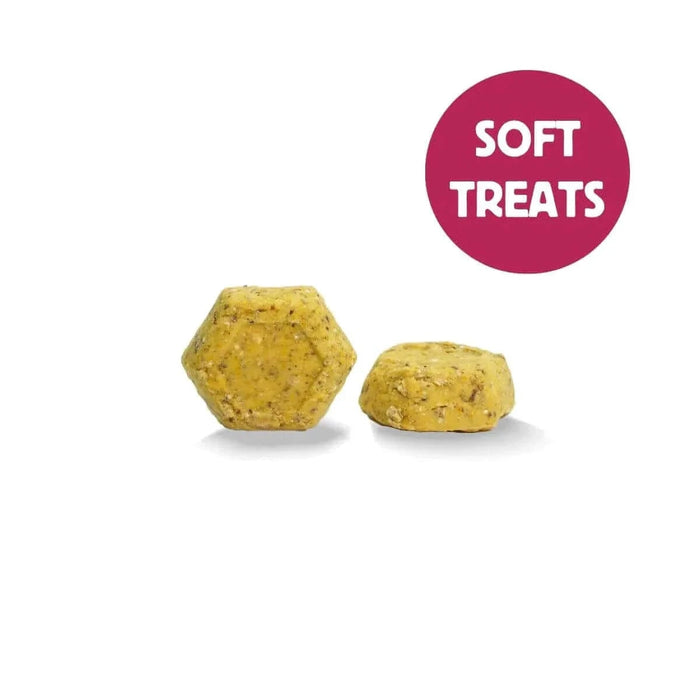 Hownd Got an Itch? Plant Based Hypoallergenic Wellness Treats 100g - Natural Dog Treats