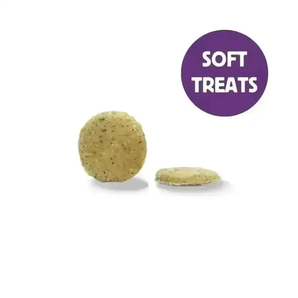 Soft plant based hypoallergenic wellness treats with speckled yellow cookie-like texture