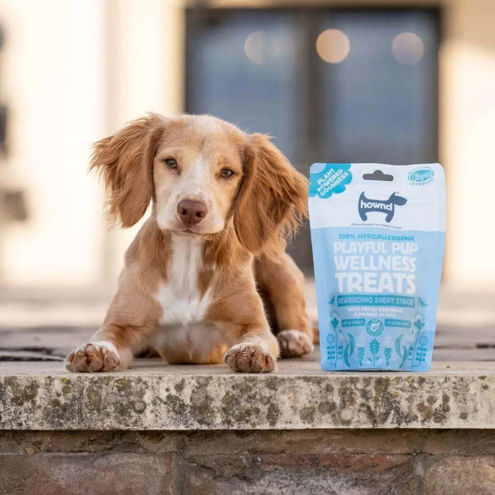 Hownd Playful Pup Plant Based Hypoallergenic Wellness Treats 100g