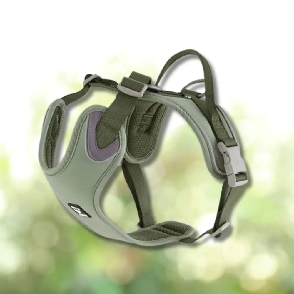 Olive green and gray Hurtta Weekend Warrior ECO padded harness with adjustable straps