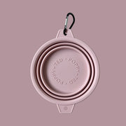 Pink Collapsible Dog Bowl