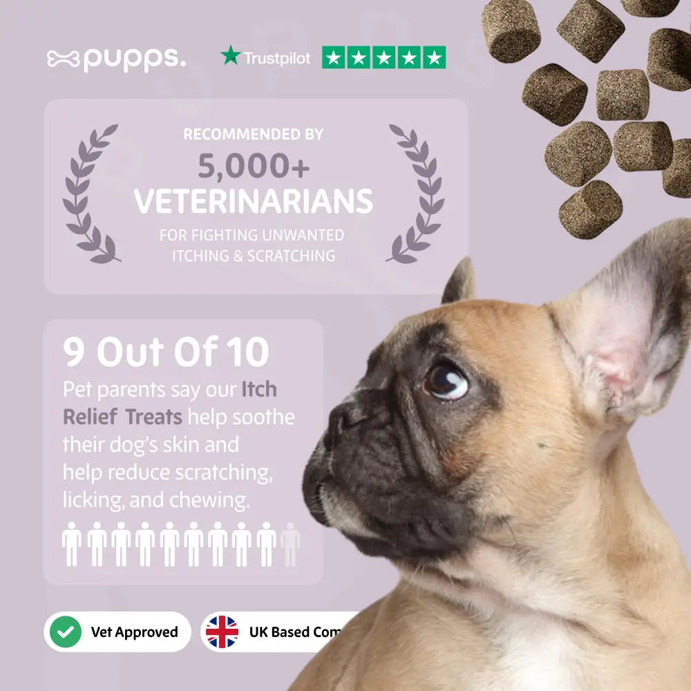 Itch Relief Treats - Itch Relief Treats