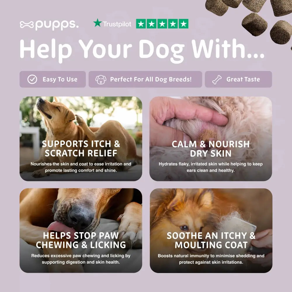 Itch Relief Treats - Itch Relief Treats