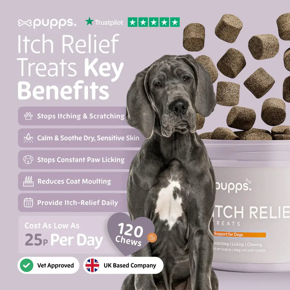 Itch Relief Treats - Itch Relief Treats