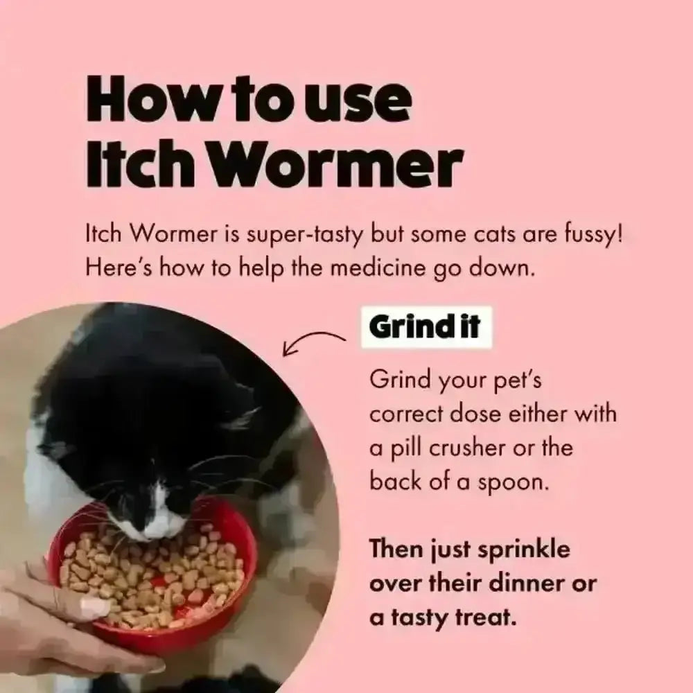 Kitten eating from red ceramic bowl with Itch Wormer Tablets for cats