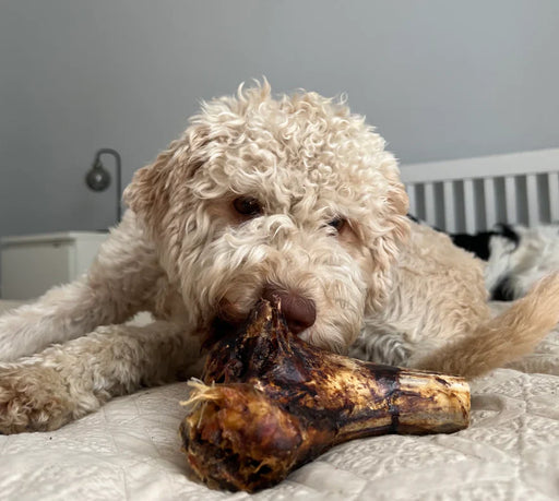 JR Ostrich Knuckle Bone | Natural grain free chew for dogs