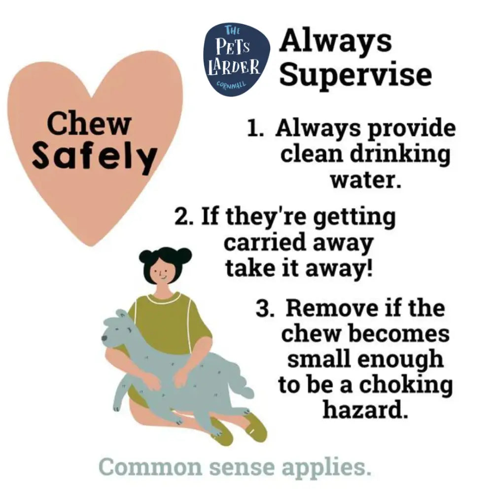 JR Pet Products Beef Tendons pink heart chew toy, soft rubber pet product