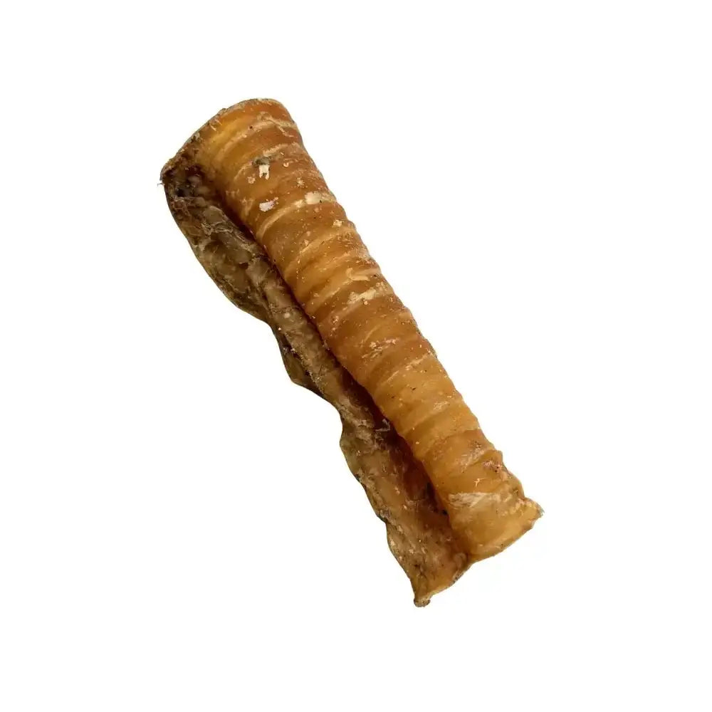 Jr Pet Products Beef Trachea Singles - Natural Dog Chew | Shop