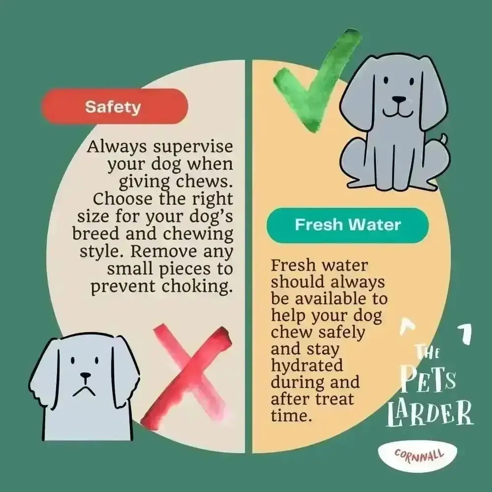 JR Pet Products grain free dog lamb ears with green apple pet water bottle