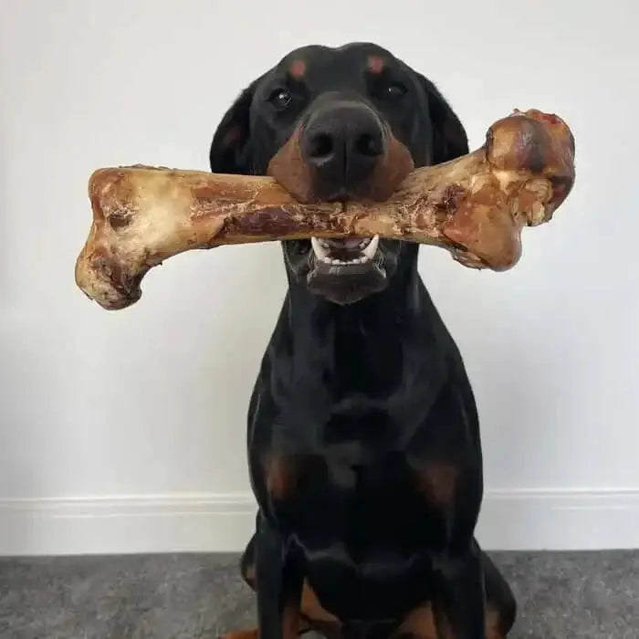 JR Pet Products Ostrich Bone chew toy in brown tan hues with textured grip