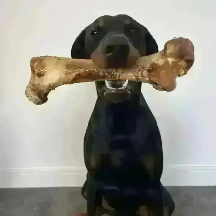 JR Pet Products Ostrich Bone chew toy in brown tan hues with textured grip