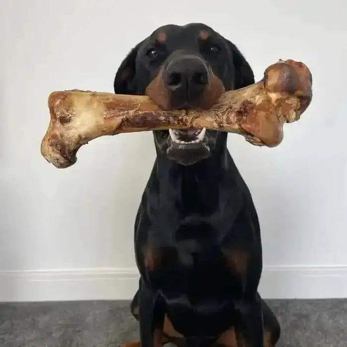 JR Pet Products Ostrich Bone chew toy in brown tan hues with textured grip