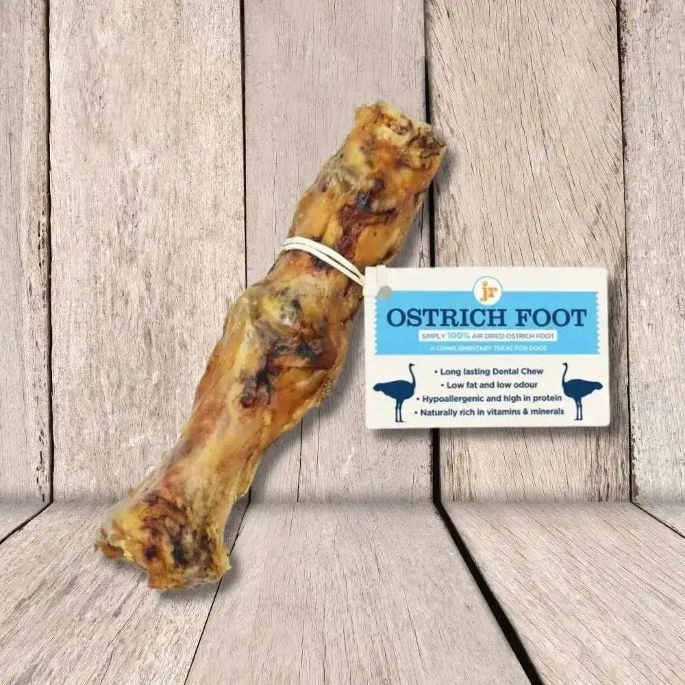 JR Pet Products Ostrich Foot: Natural Texture Toy with Two Bones Covered