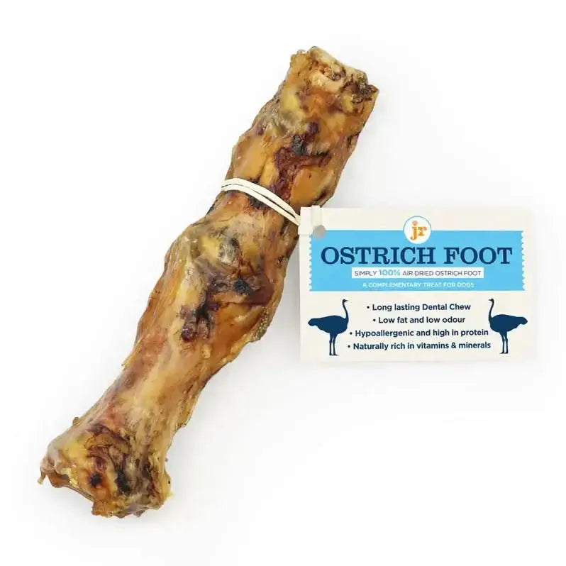 JR Pet Products Ostrich Foot: natural-textured, hypoallergenic pet toy for dogs