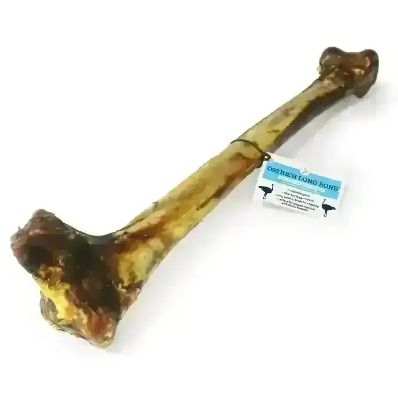 JR Pet Products Ostrich Long Bone dog chew toy in brown and yellow