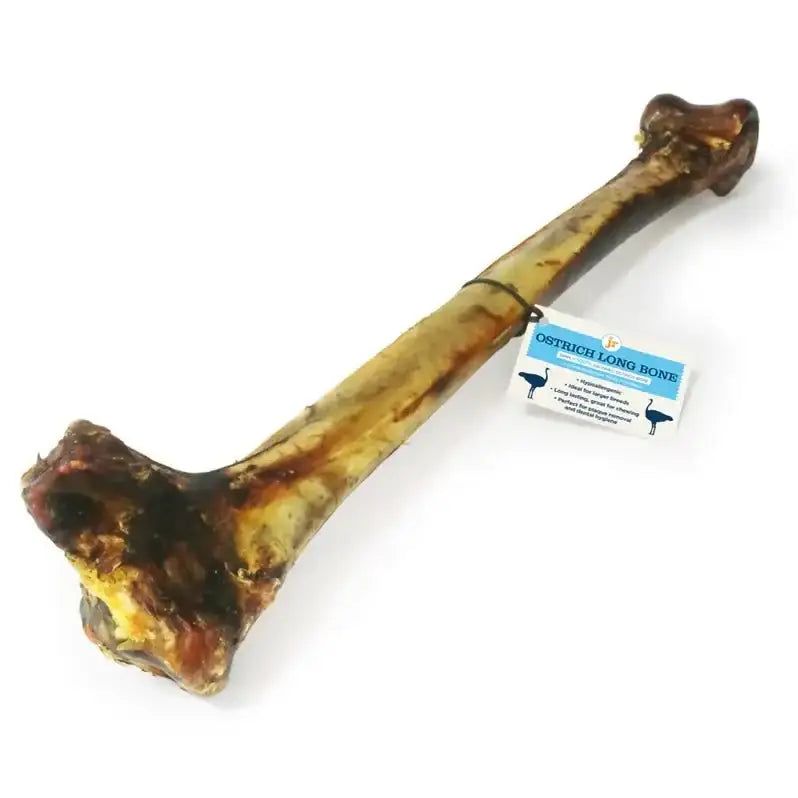 JR Pet Products Ostrich Long Bone dog chew toy in brown and yellow