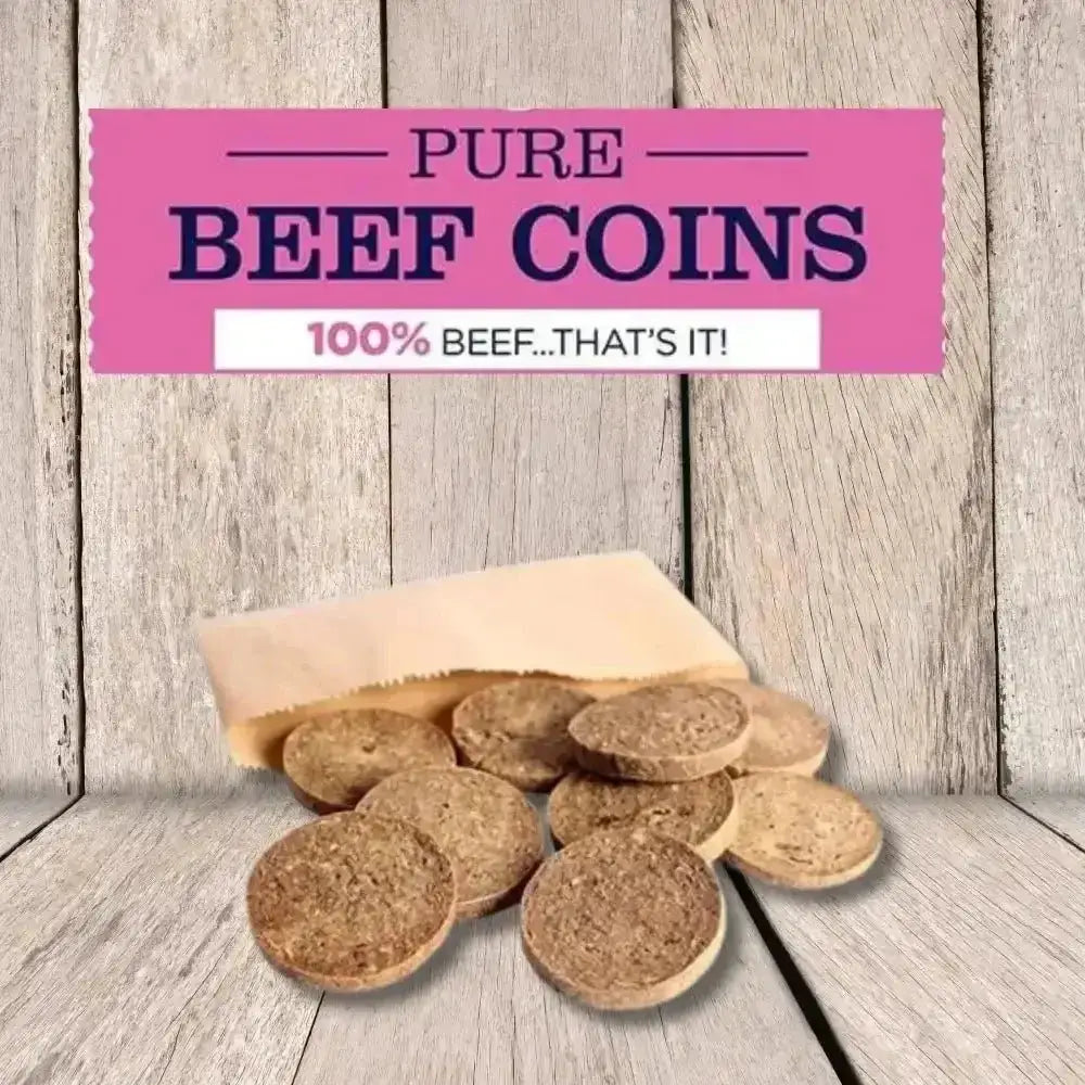 JR Pet Products Pure Beef Coin treats in brown bag