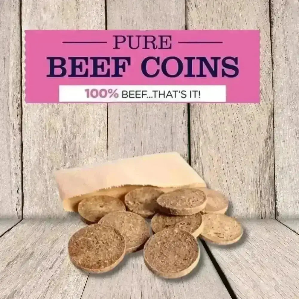 JR Pet Products Pure Beef Coin treats in brown bag