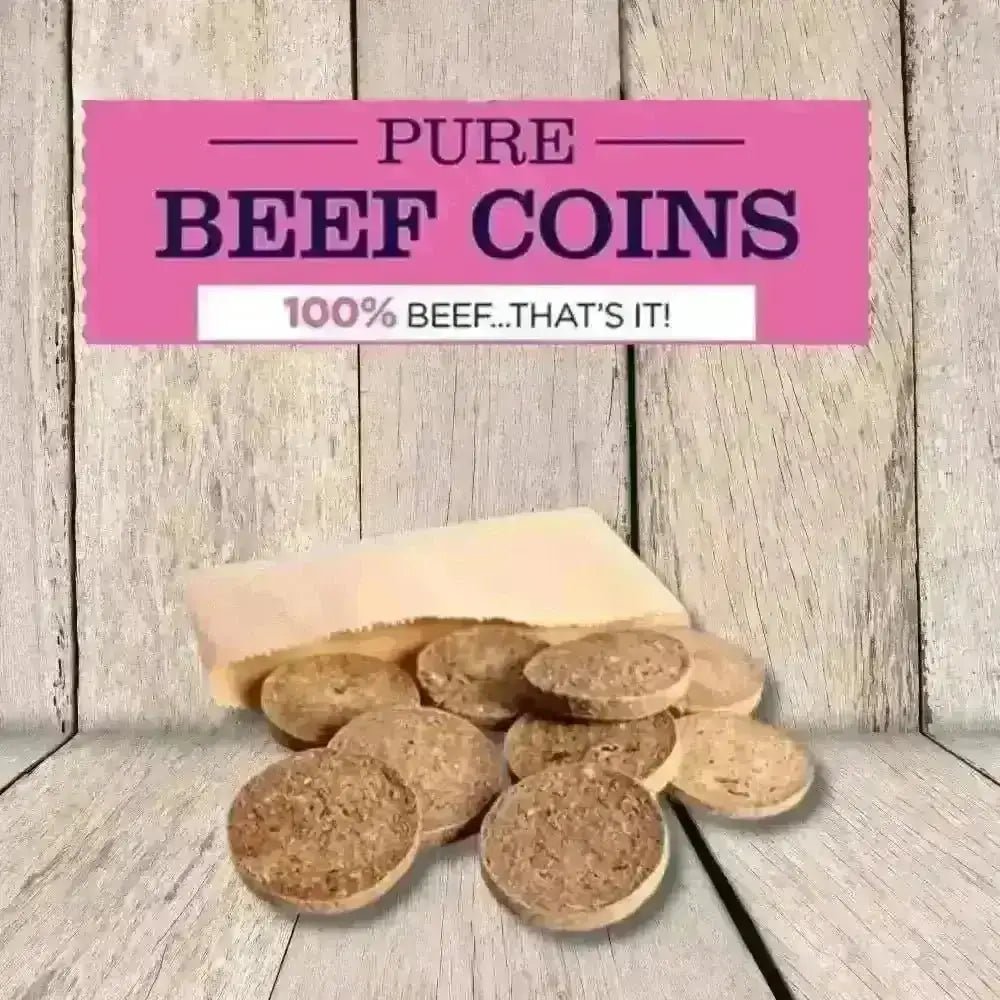 JR Pet Products Pure Beef Coin treats in brown bag
