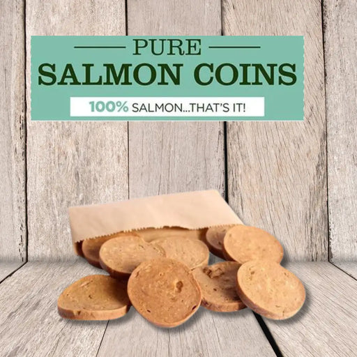 JR Pet Products Pure Salmon Coins - Natural Treats For Dogs