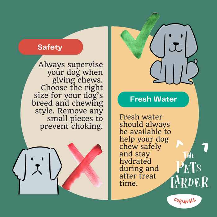 JR Pure Chicken Topper & Mixer 80g - Natural Wet Dog Food