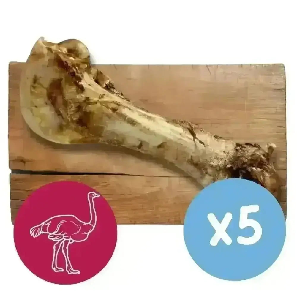 Five-pack of jumbo ostrich bones for dog chews in the Jumbo Ostrich Bone Dog Chew product