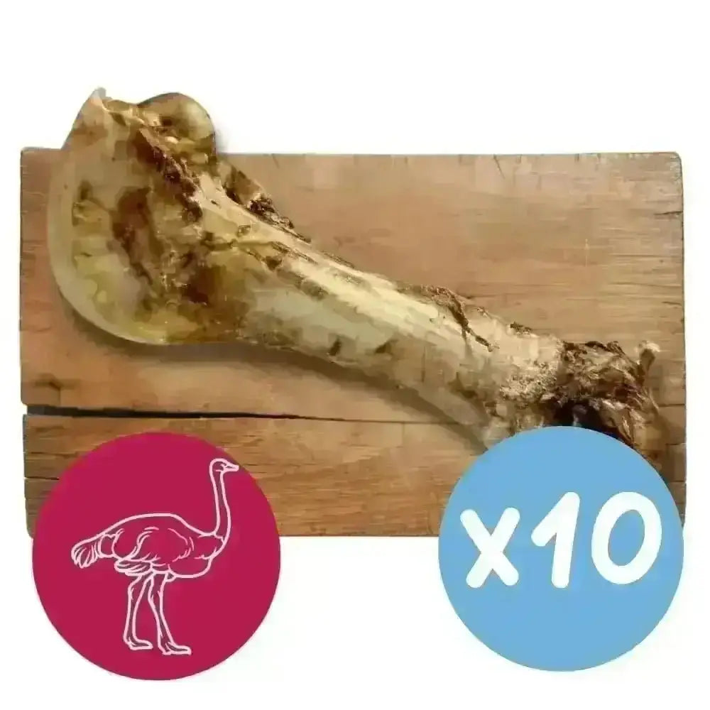 10-pack Jumbo Ostrich Bones dog chew toys for durable ostrich bones chewing