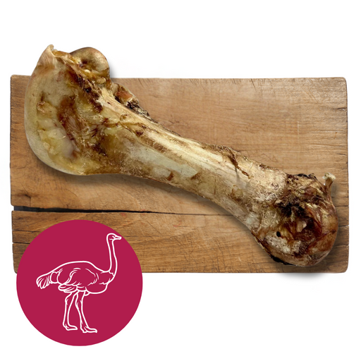 Jumbo Ostrich Bone | Natural Chews for Dogs