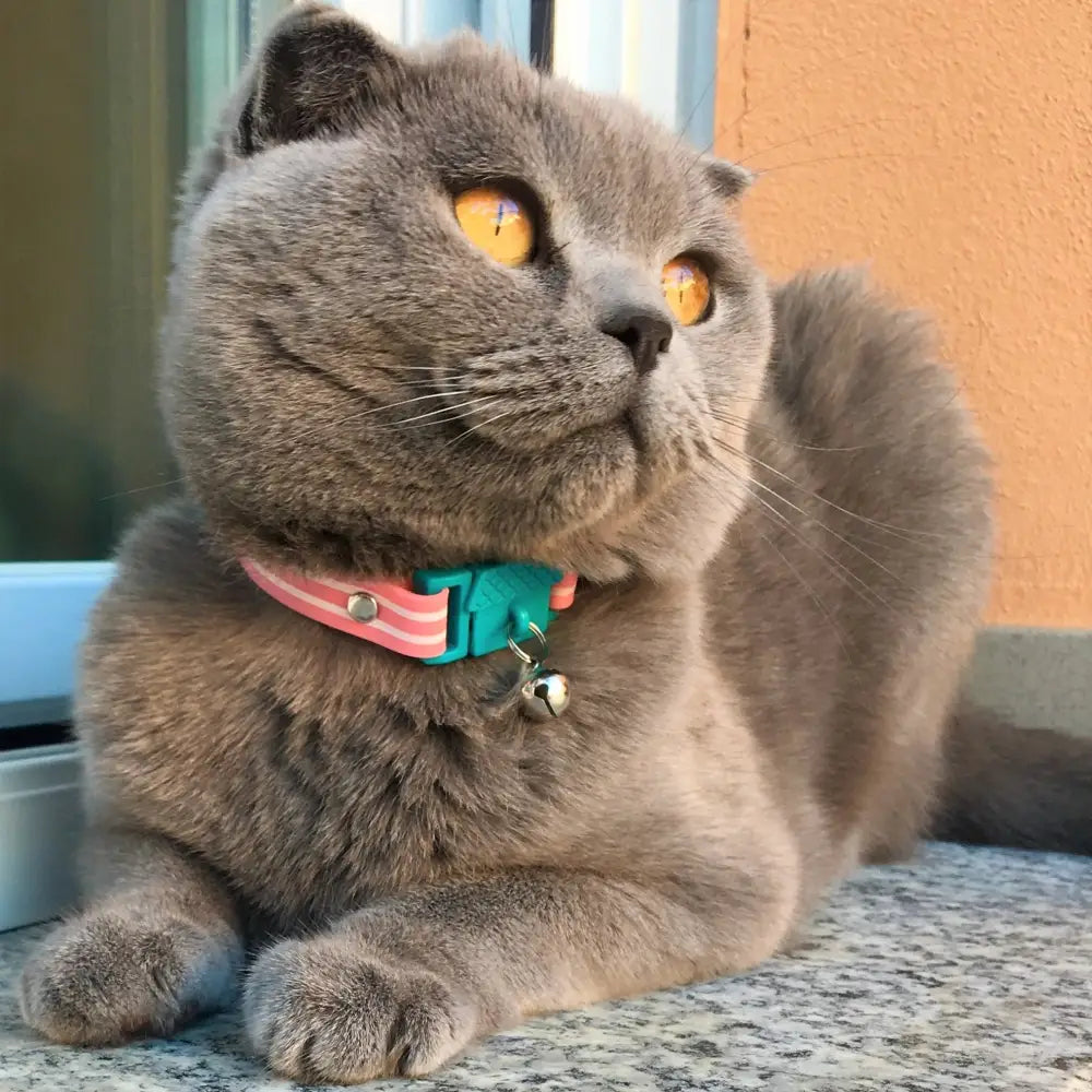 KITTYRAMA BERMUDA CAT COLLAR - Quick Release Breakaway Hypoallergenic - Cat Supplies
