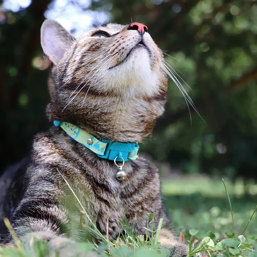 KITTYRAMA BOTANICALS JUNGLE CAT COLLAR - Quick Release Breakaway Hypoallergenic - Cat Supplies