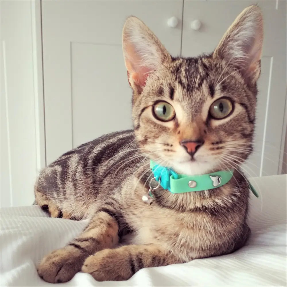 KITTYRAMA MEADOW CAT COLLAR - Quick Release Breakaway Hypoallergenic - Cat Supplies