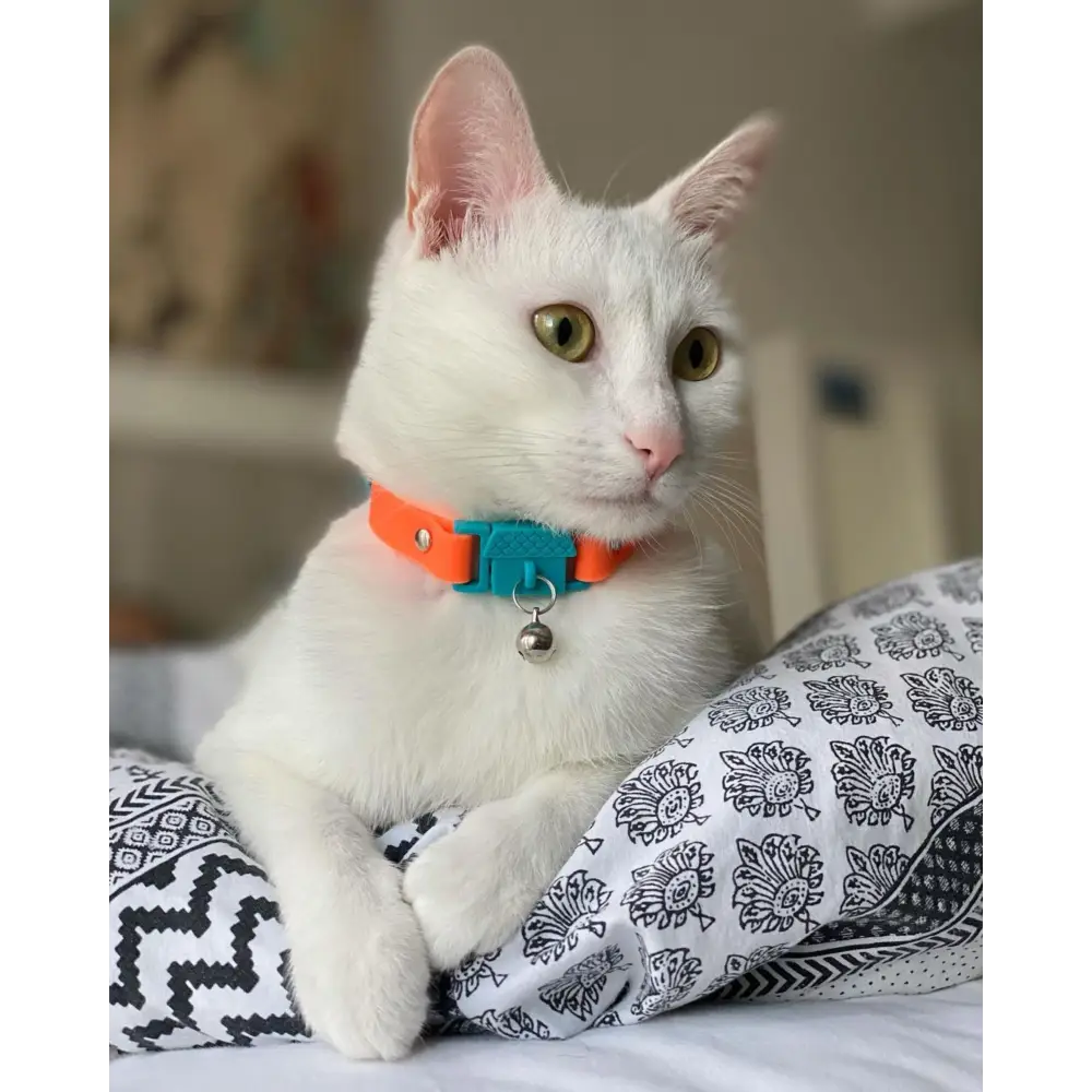 KITTYRAMA TANGERINE CAT COLLAR - Quick Release Breakaway Hypoallergenic - Cat Supplies