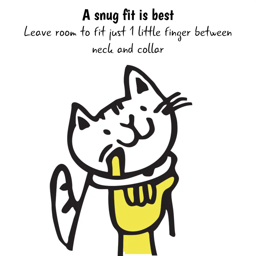 KITTYRAMA TANGERINE CAT COLLAR - Quick Release Breakaway Hypoallergenic - Cat Supplies