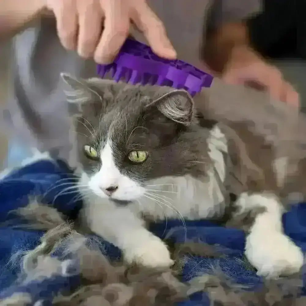 KONG Cat Zoom Groom purple brush with soft bristles reduces hairball formation