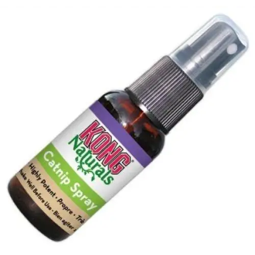 Kong Catnip Spray Cat Accessories KONG