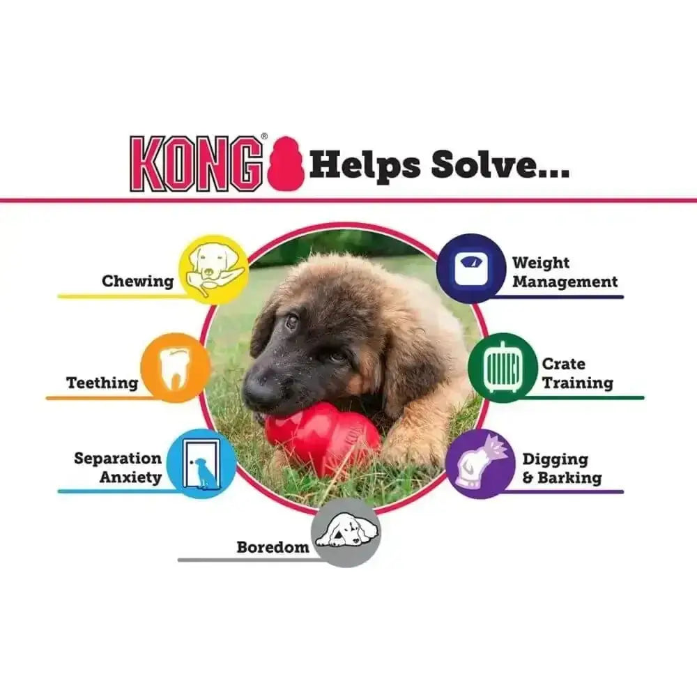 Red kong chew toy with textured surface and durable rubber material.