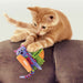 KONG Pull-A-Partz Purrito Cat Toys KONG