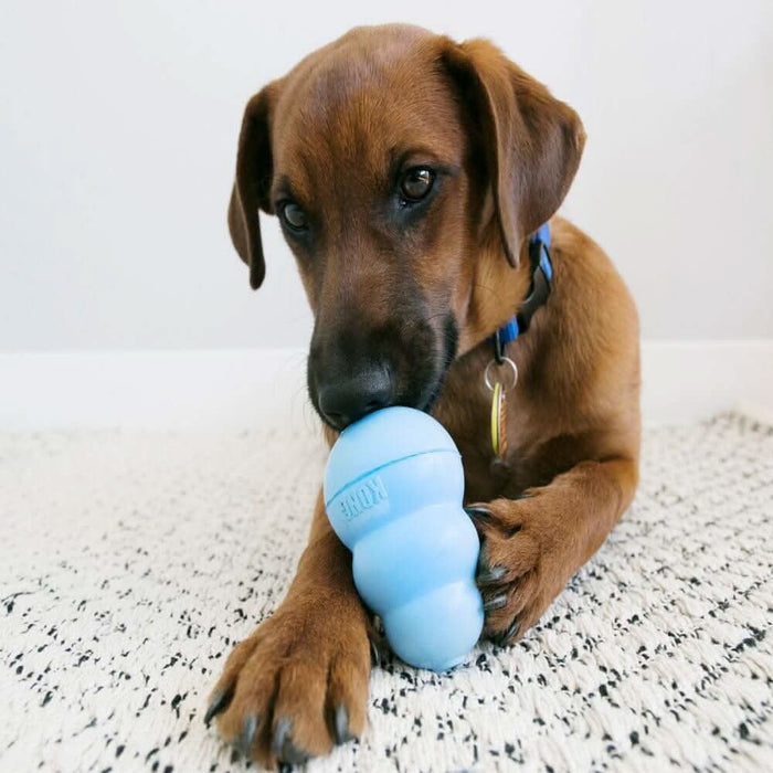 KONG Puppy Dog Toys KONG