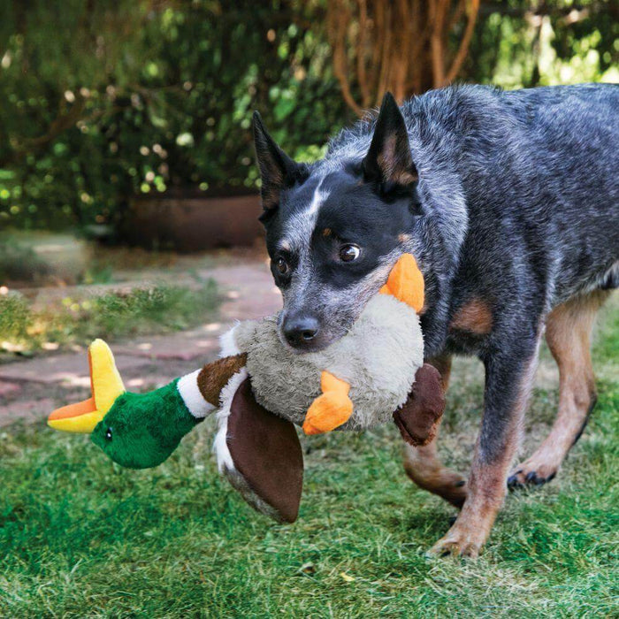 KONG Shakers Honkers Large Duck Dog Toys KONG