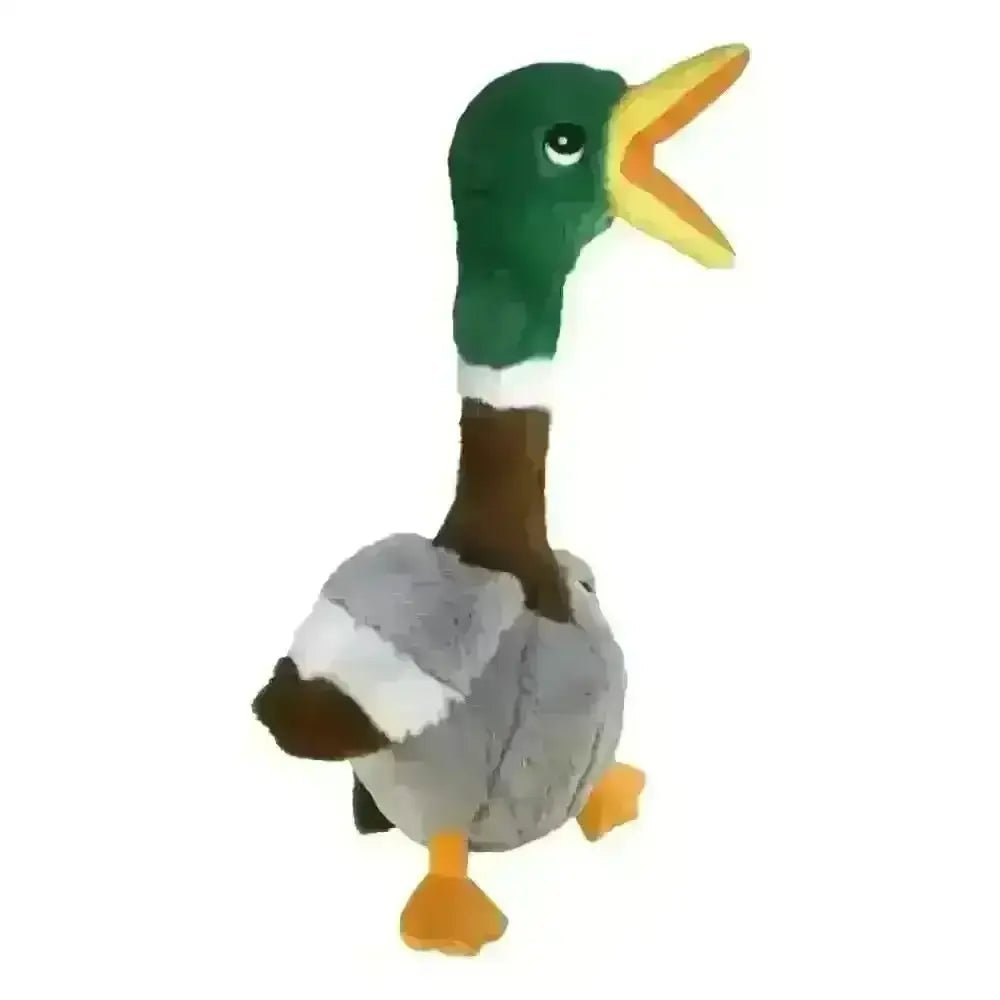 Plush KONG Shakers Honkers large duck toy with green head, brown body, and white collar