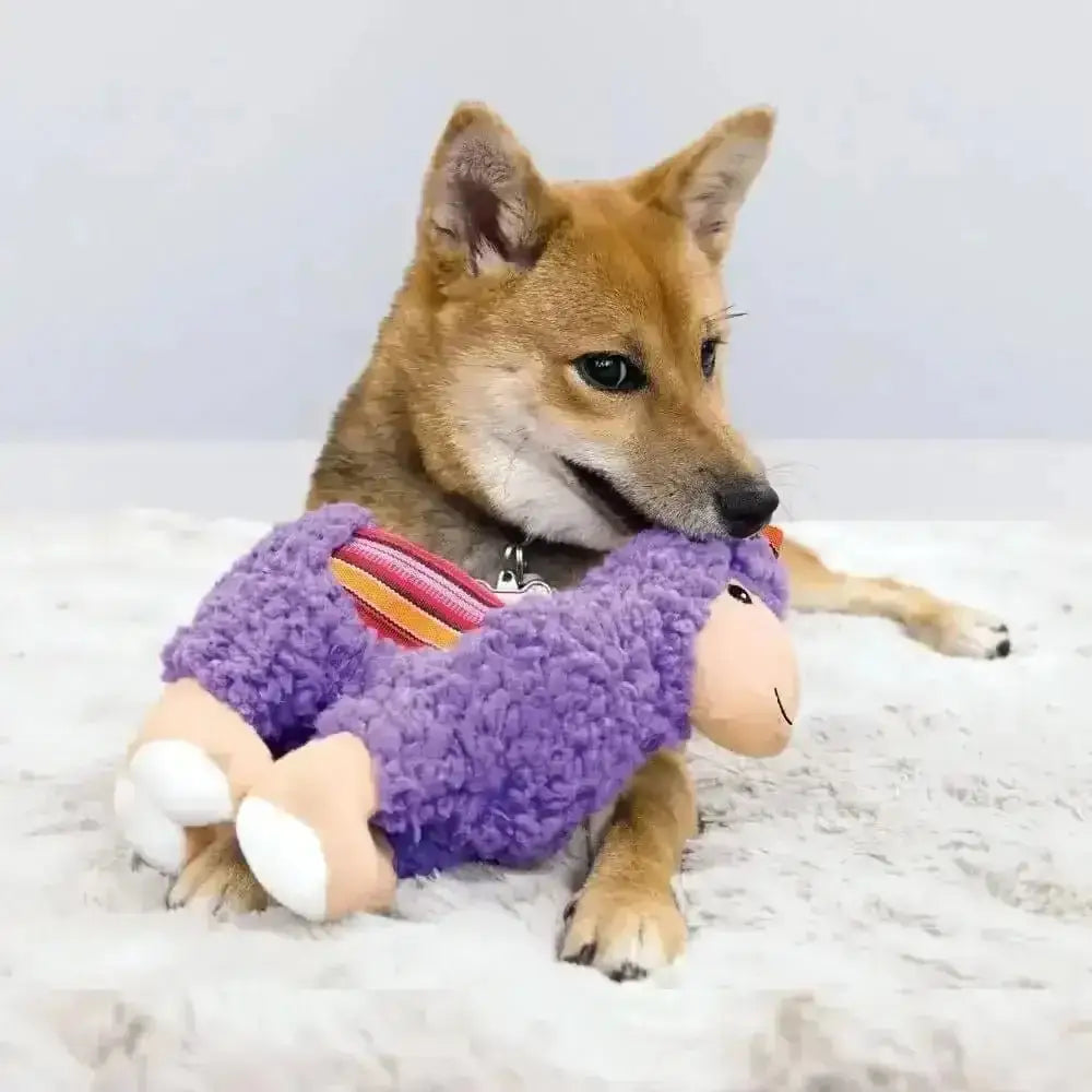 KONG Sherps Donkey Medium purple plush sheep toy with rainbow collar and bell