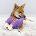 Kong Sherps Llama Medium Dog Toys KONG