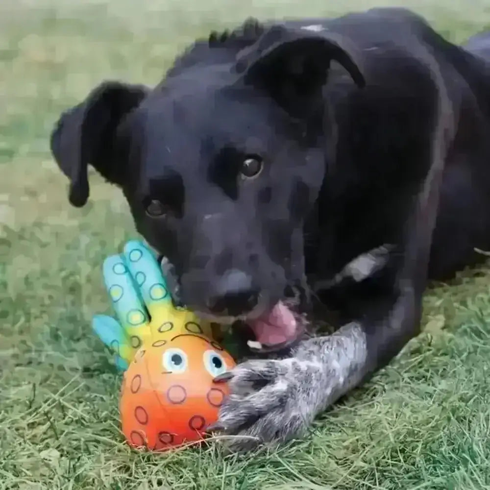 KONG Shieldz Tropics Octopus Medium: Orange/green polka dot toy with ultra-durable coating