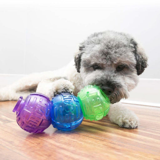 Kong Small Lock-It Dog Toys KONG