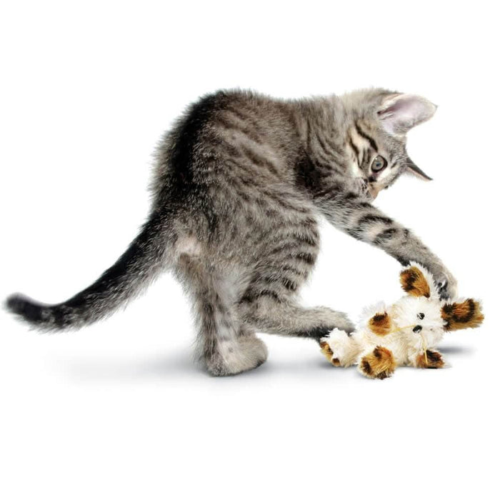 KONG Softies Patchwork Bear Cat Toys KONG