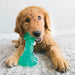KONG Squeezz Dental Stick Dog Toys KONG