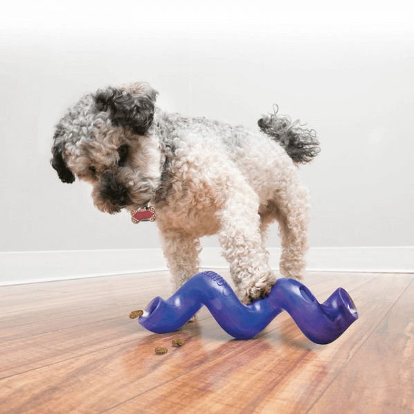 KONG Treat Spiral Stick Dog Toys KONG