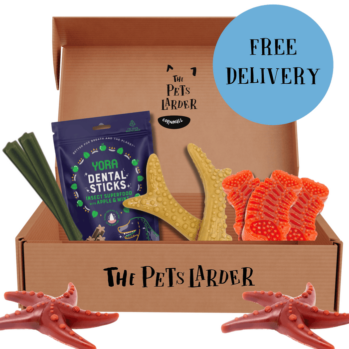 Letter Box Dental Chew Bundle - Natural Chews for Dogs - Natural Treats For Dogs