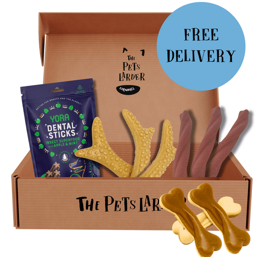 Letter Box Dental Chew Bundle - Natural Chews for Dogs - Natural Treats For Dogs