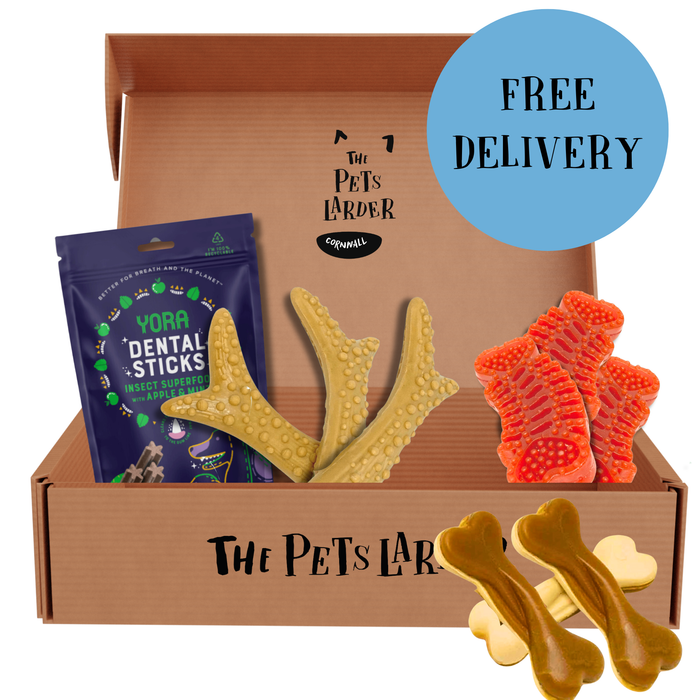 Letter Box Dental Chew Bundle | Natural Chews for Dogs